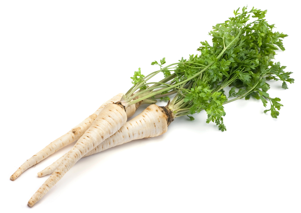 Fresh parsley with root leaf on white background