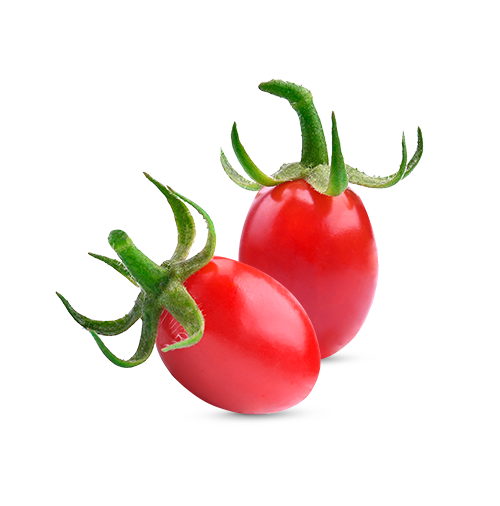 עגבניה 'שרי'