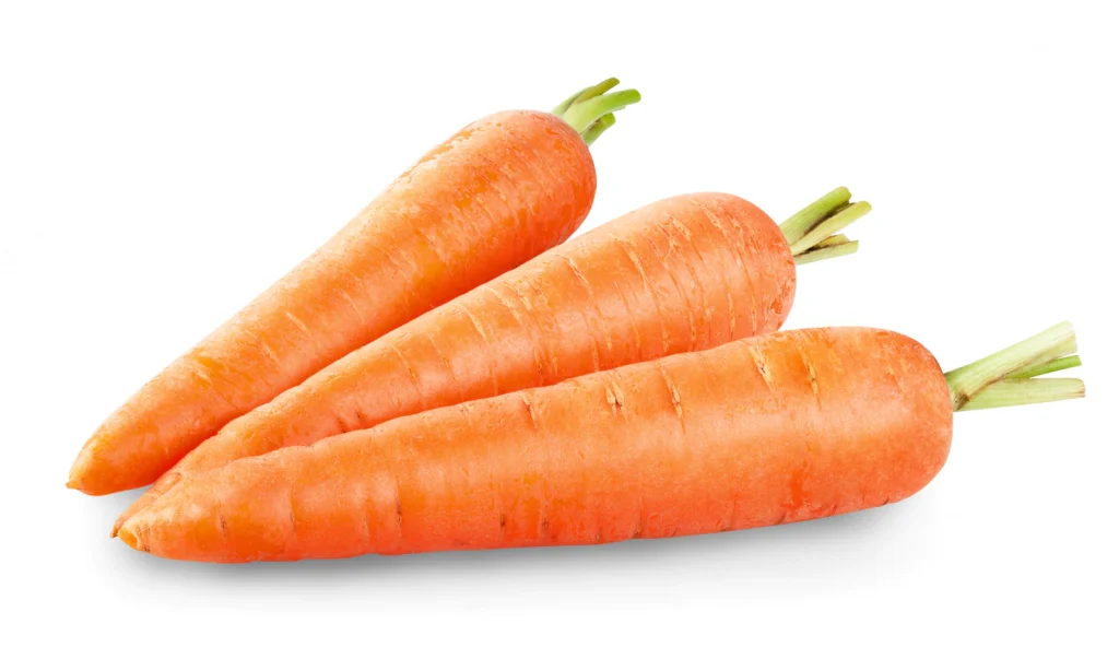 fresh-carrots-isolated-white_272787-150