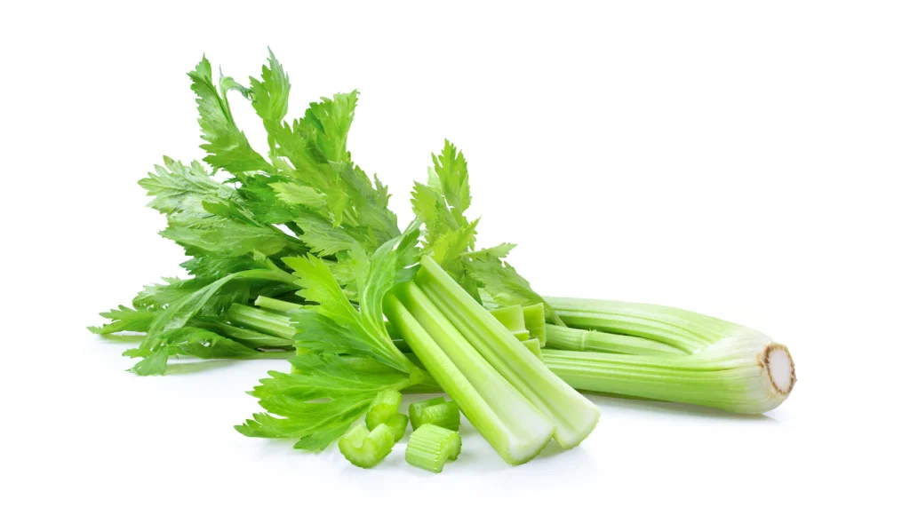 fresh-celery-white-wall_253984-3335