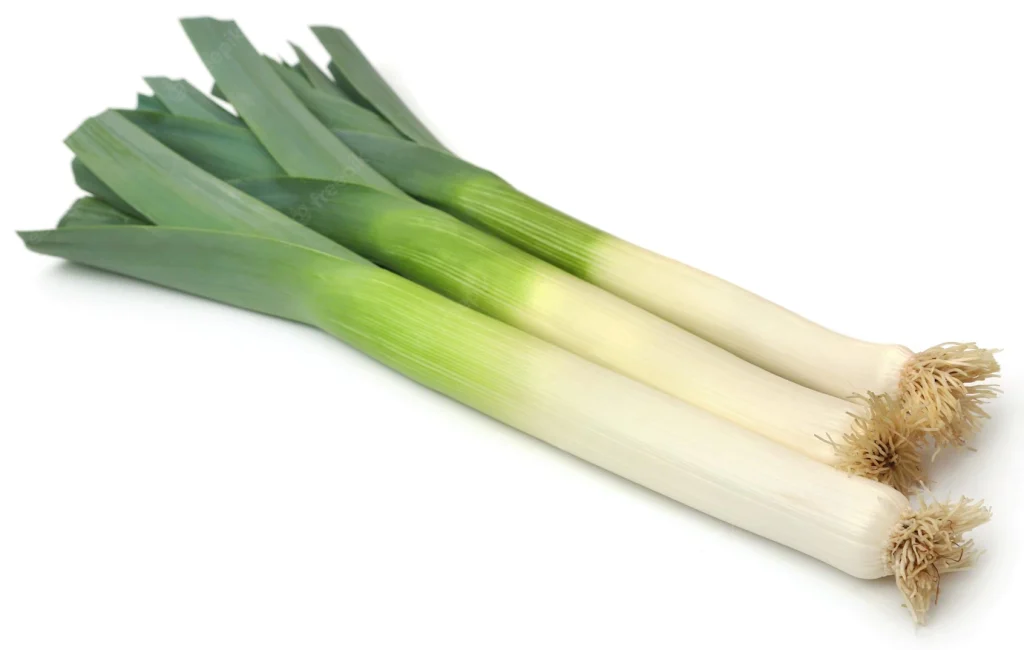 fresh-leek-stems-leaves-white-background_525574-13275