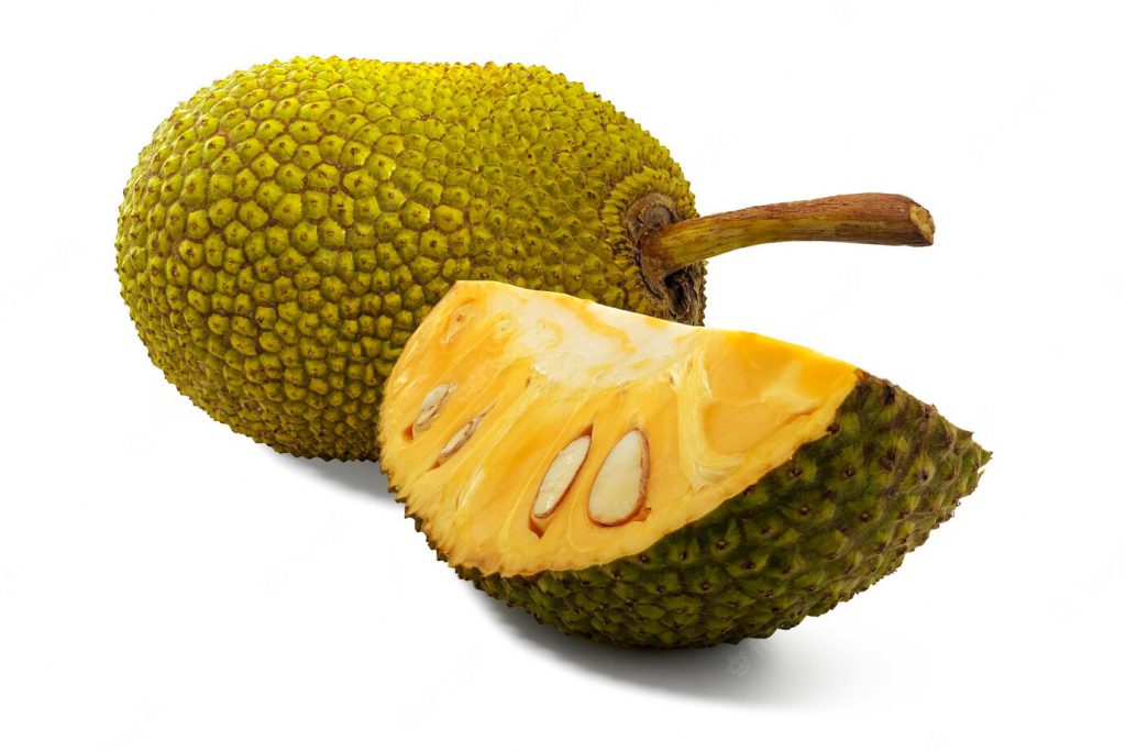 jackfruit-isolated-white-background-jackfruit-is-tropical-fruit-with-good-smell-sweet_555949-669