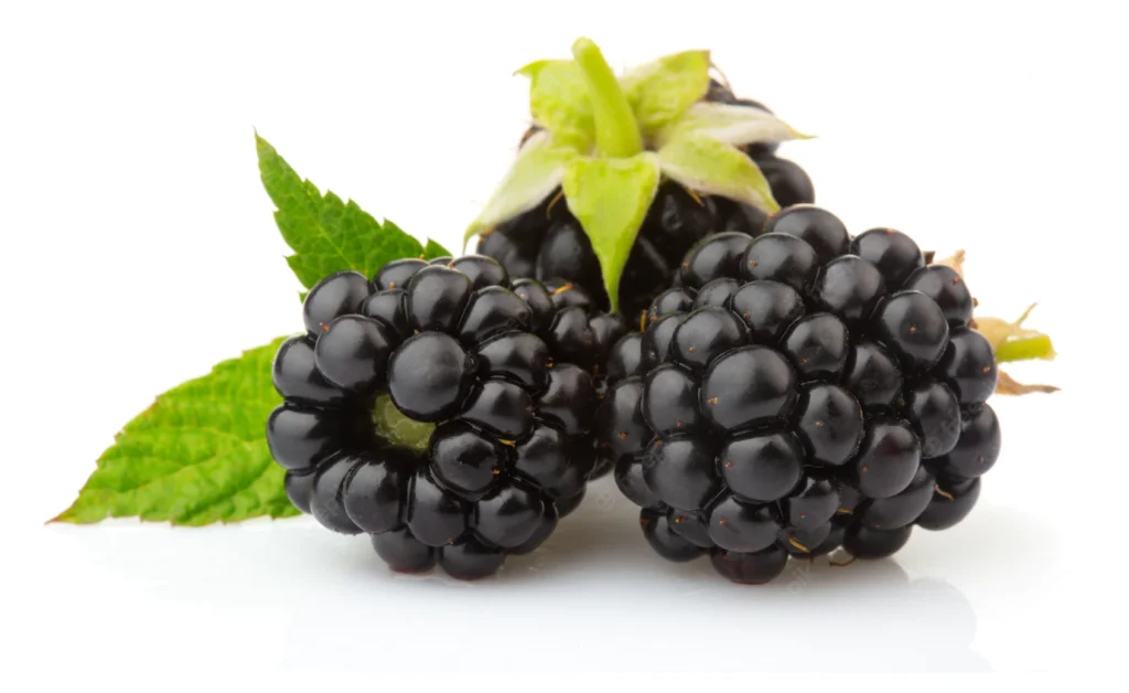 ripe-blackberries-with-green-leaves-isolated-white_80510-260